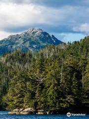 Tongass National Forest