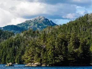 Tongass National Forest