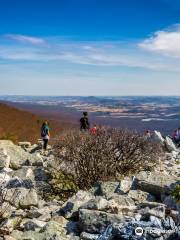 Hawk Mountain Sanctuary