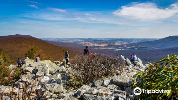 Hawk Mountain Sanctuary