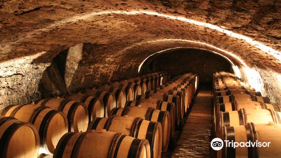 Domaine Long-Depaquit