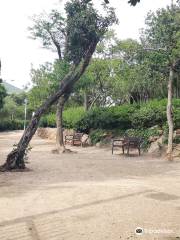 Parc De Monterols