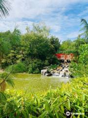 Parc du Suzon - Jardin Japonais