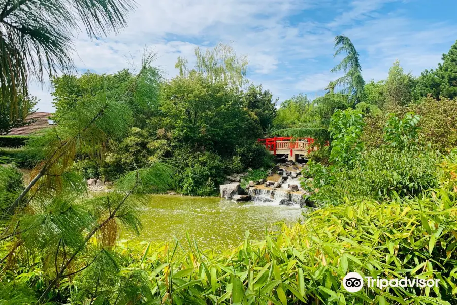 Parc du Suzon - Jardin Japonais