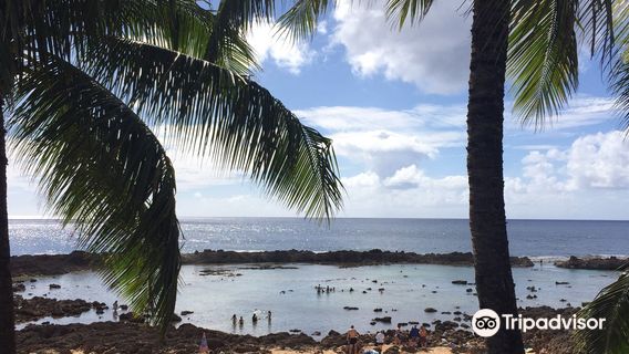 North Shore Surf Shop