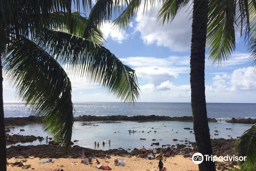 North Shore Surf Shop