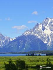 Bridger Teton National Forest