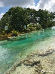 Stromatolites in Bacalar Rapids