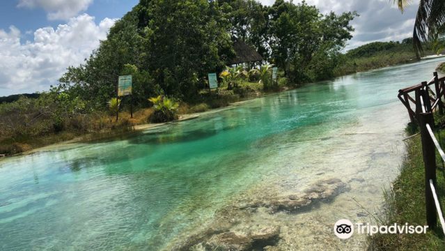 Stromatolites in Bacalar Rapids