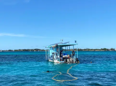 Solar Sea Walk, Underseawalk Ltd