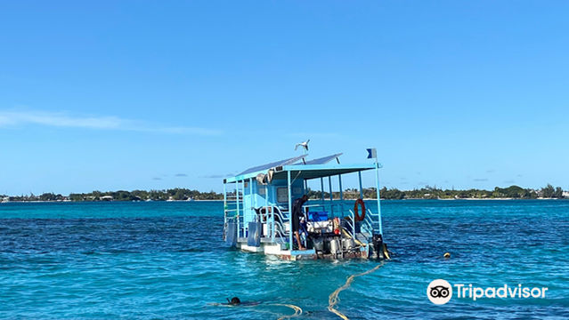 鹿島太陽能海底漫步