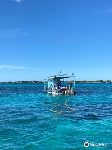 Solar Sea Walk, Underseawalk Ltd
