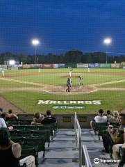 Madison Mallards