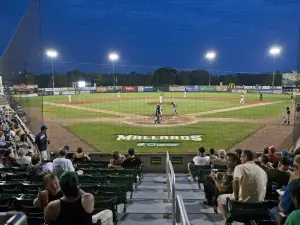 Madison Mallards