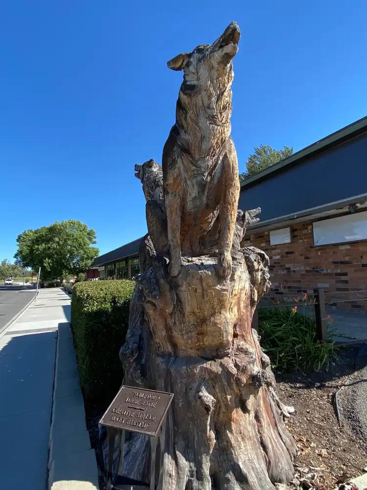 Hotels in High River