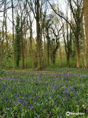 Burbage Common & Woods