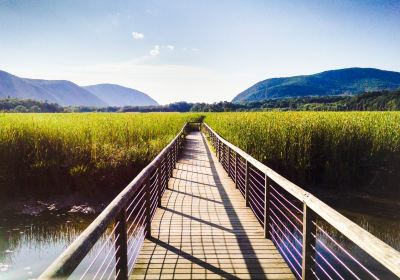 Constitution Marsh Audubon Center and Sanctuary