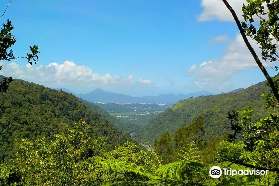 Wrights Lookout