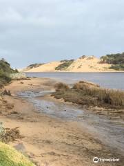 Powlett River