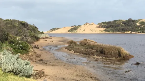 Powlett River