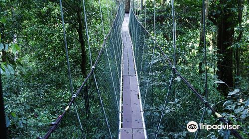 Mulu Skywalk