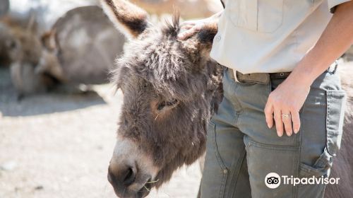 BC Wildlife Park