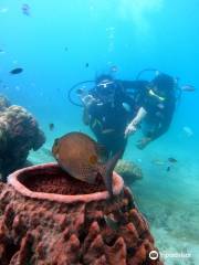 Blue Corals Dive | Best Scuba Diving in Andaman | India