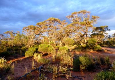 Gluepot Reserve