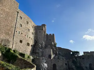 Chateau Mont Orgueil