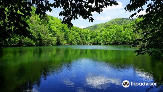 Yedigöller National Park