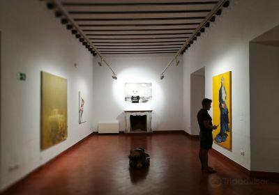 Museo de Arte de la Diputación (MAD)