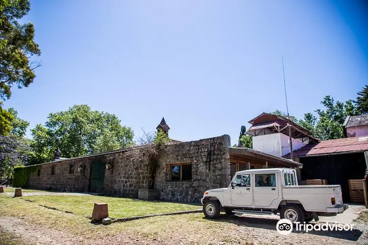 Bodega Los Cerros de San Juan