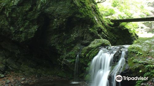 川苔山