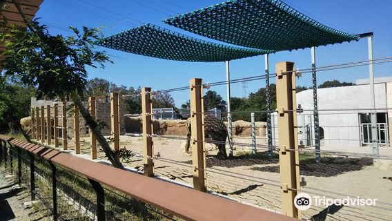 Nonhoi Park, Toyohashi Zoo and Botanical Park