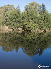 Shoalhaven River Gorge