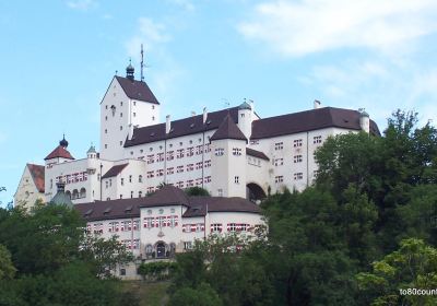 Schloss Hohenaschau