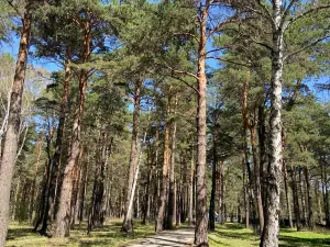 Zenkovskiy Park