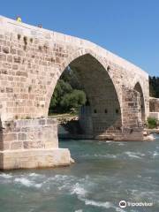 Historic Aspendos Bridge