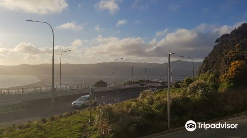 Wainui Lookout