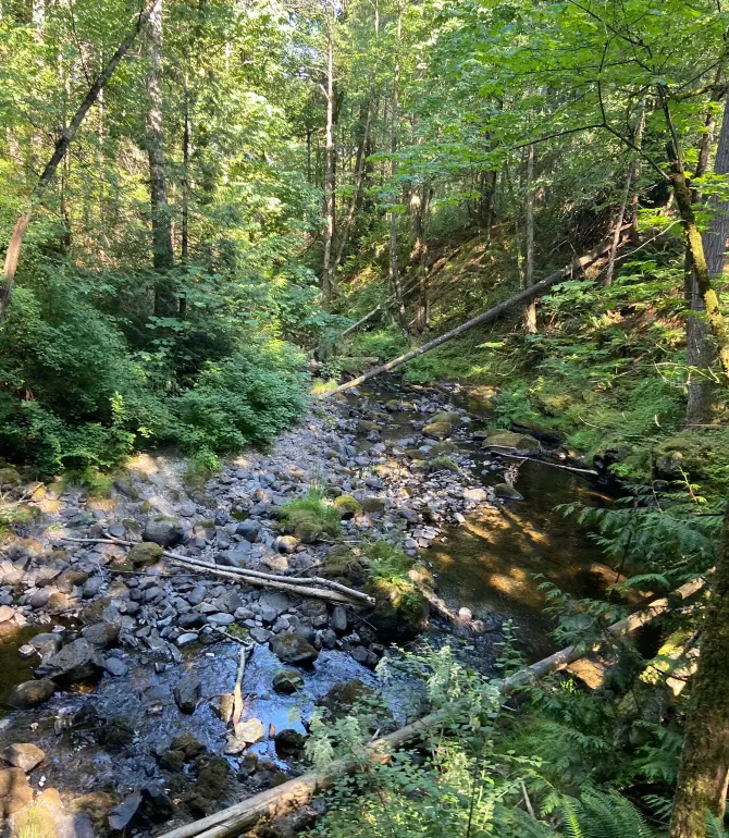 Mill Bay