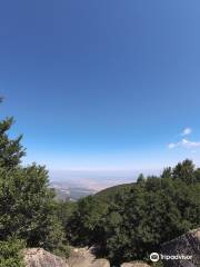 Monte Labro - Parco Faunistico del Monte Amiata - Torre Giurisdavidica