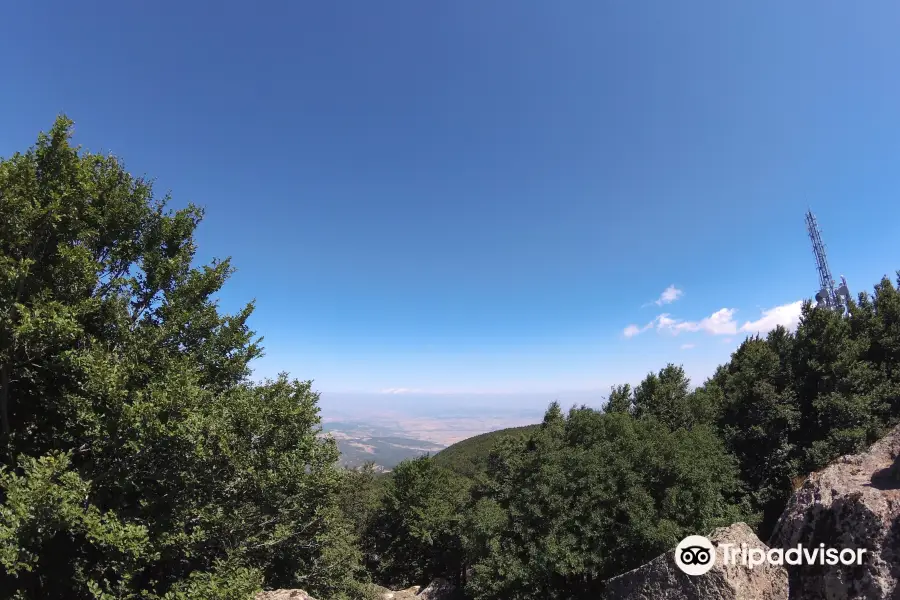 Monte Labro - Parco Faunistico del Monte Amiata - Torre Giurisdavidica