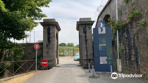 Liberation Museum (Musee de la Liberation)