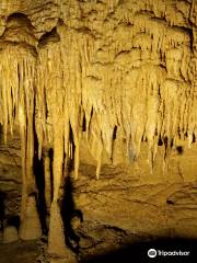 Mammoth Cave