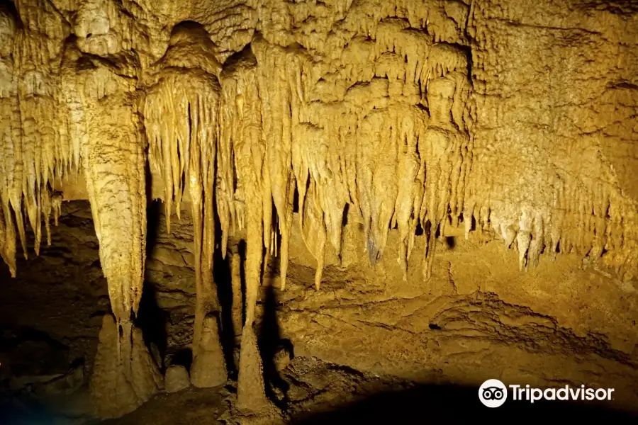 Mammoth Cave