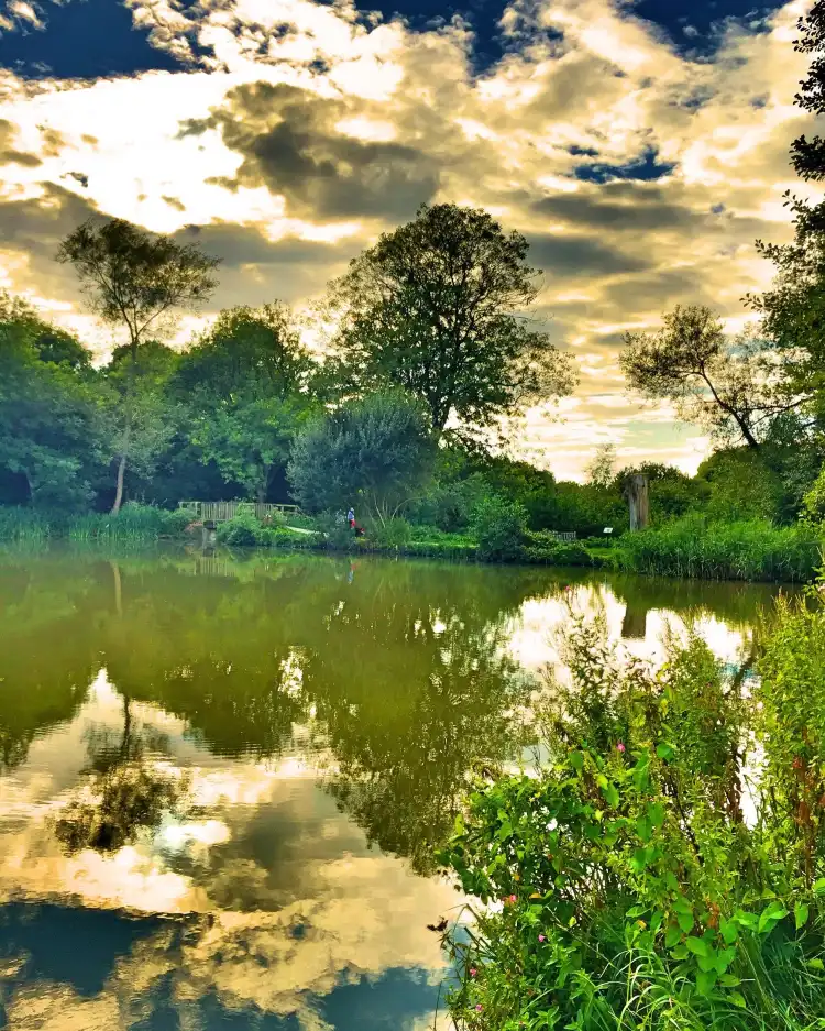 Hotels in Wootton Bassett