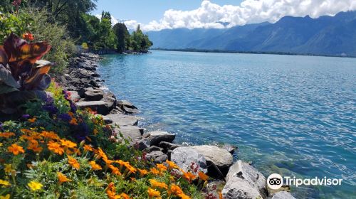 Lakeside Promenade Fleuri