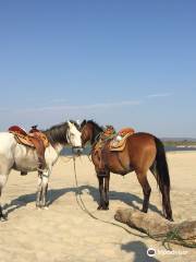 Montate a la Aventura Eco Tour a Caballo