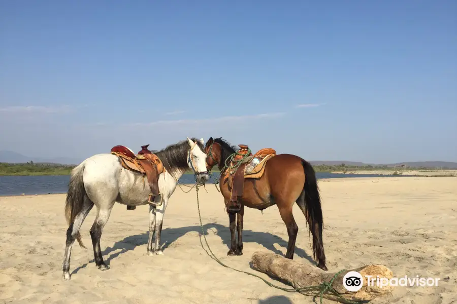 Montate a la Aventura Eco Tour a Caballo