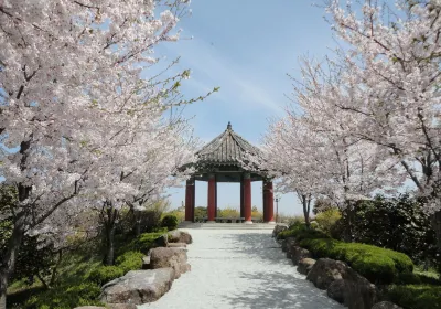 Mokpo